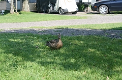 IMG_000345