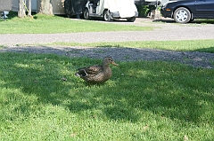 IMG_000346