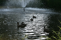IMG_000358