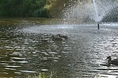 IMG_000363