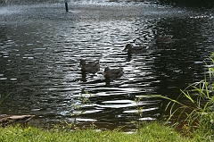 IMG_000364