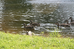 IMG_000367