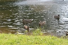 IMG_000368
