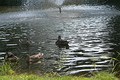 IMG_000373