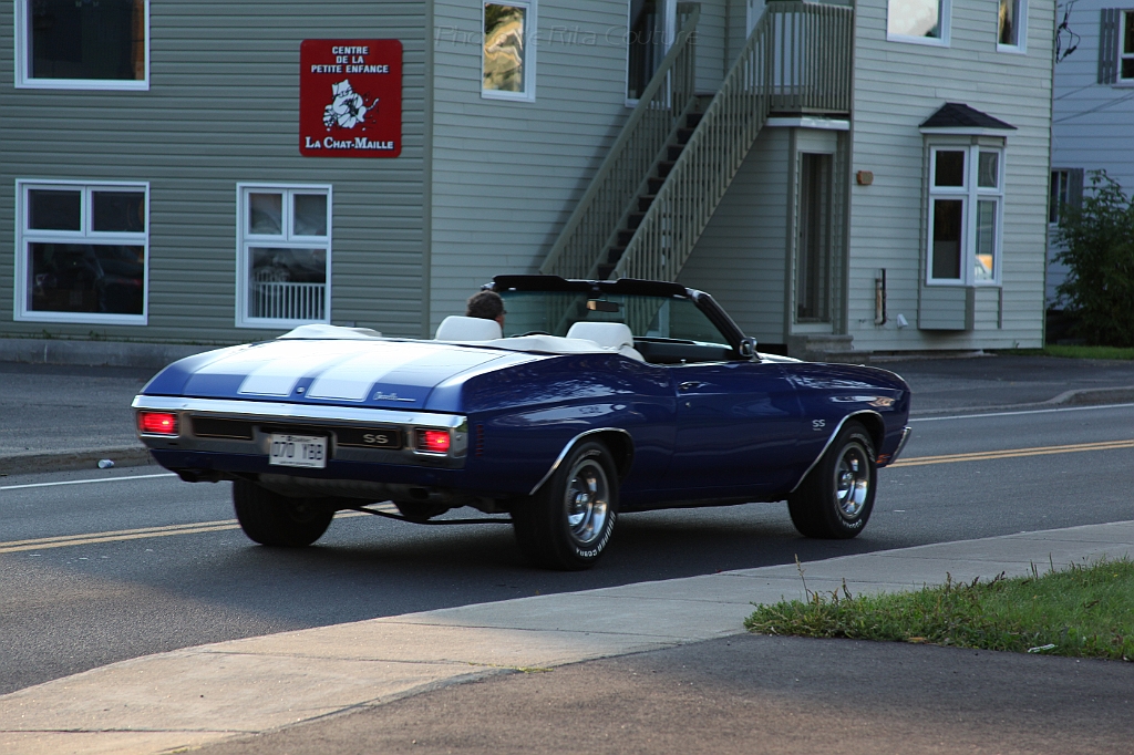 C5D_000223.JPG