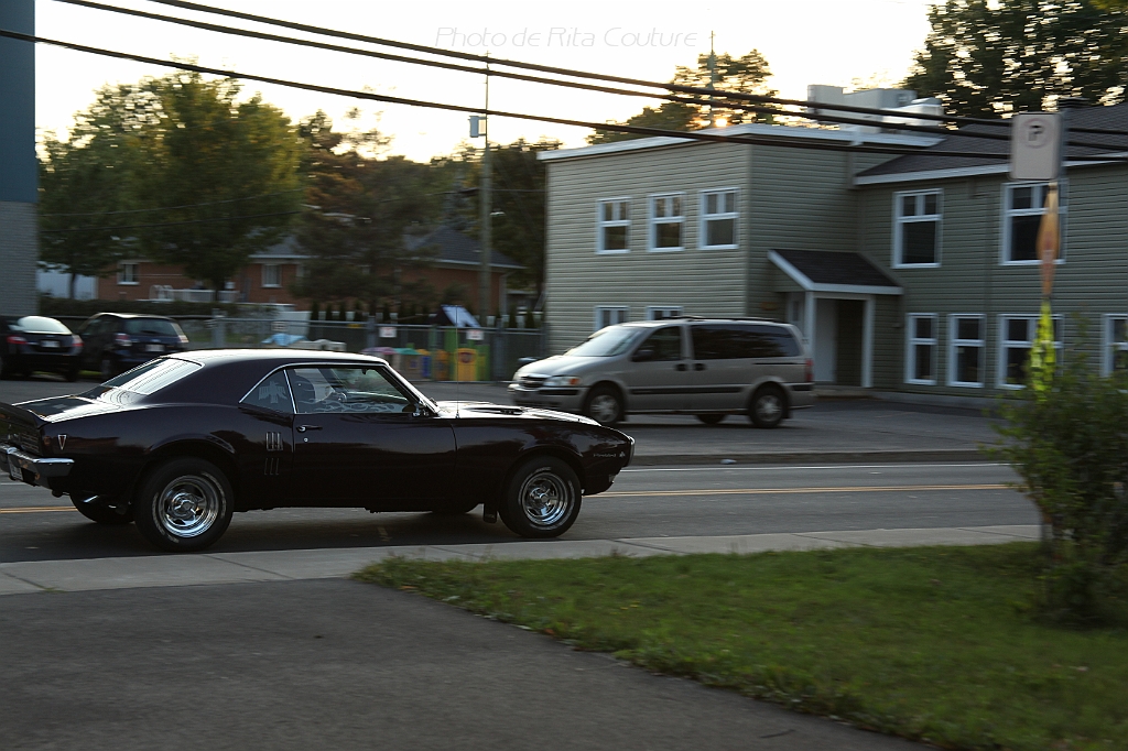 C5D_000241.JPG