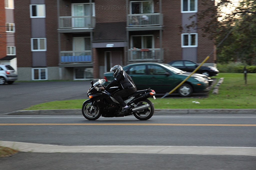 C5D_000295.JPG