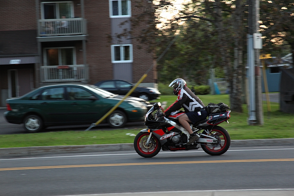 C5D_000300.JPG