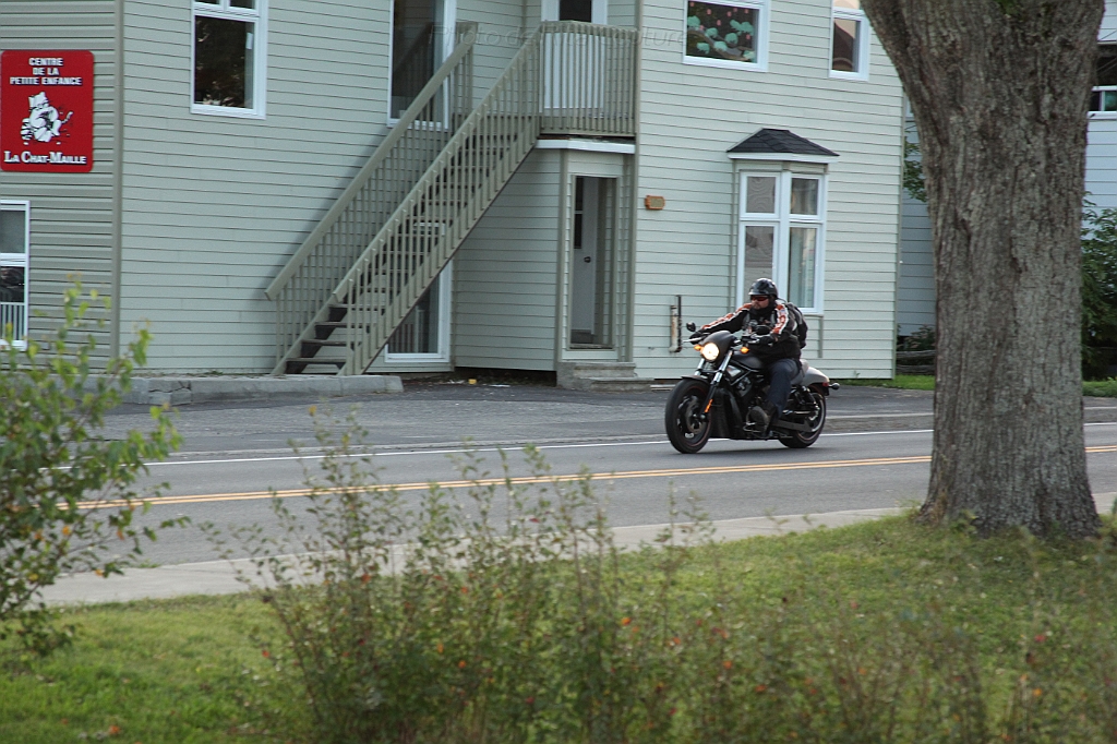 C5D_000305.JPG