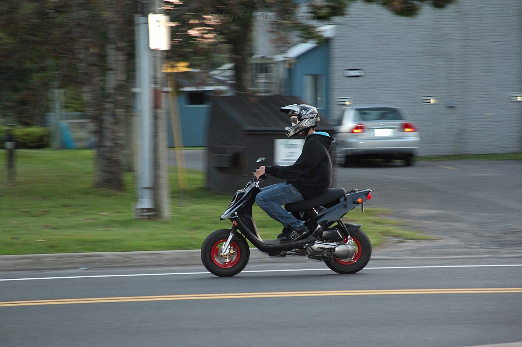 C5D_000344.JPG
