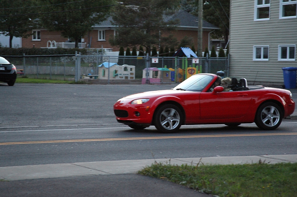 C5D_000365.JPG