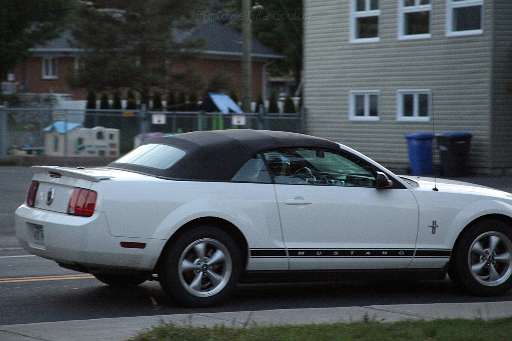 C5D_000376.JPG