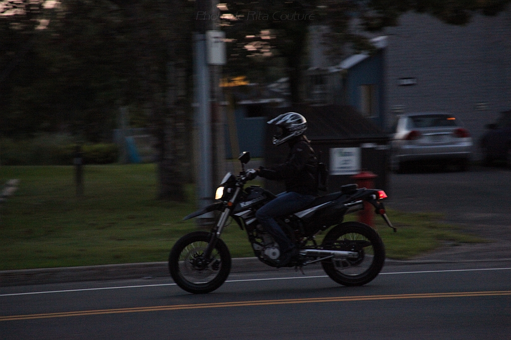C5D_000410.JPG