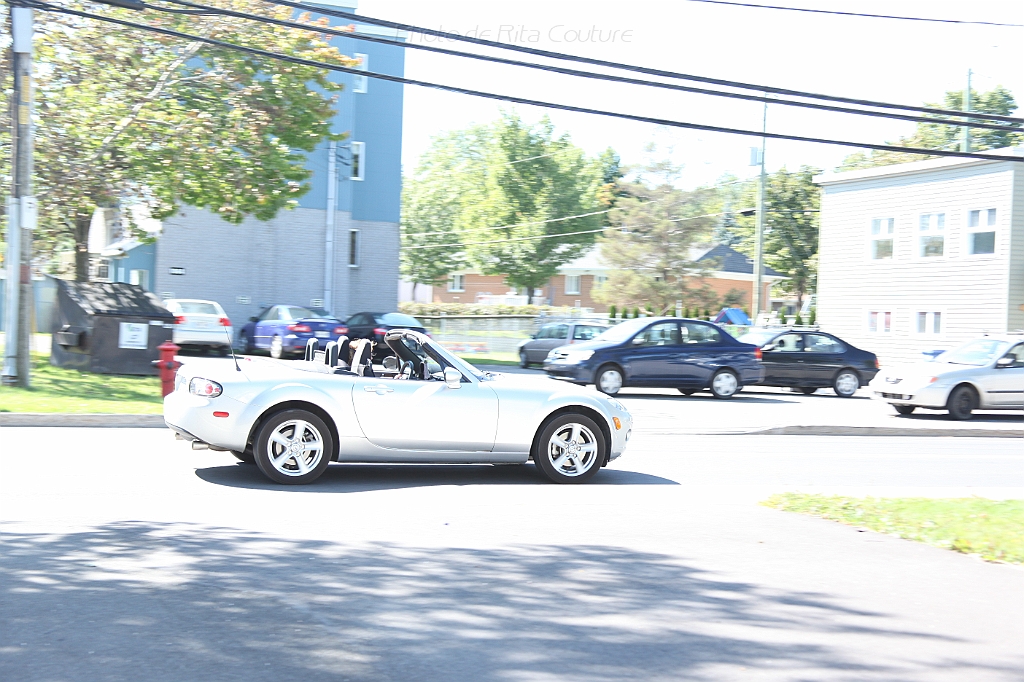 C5D_000512.JPG