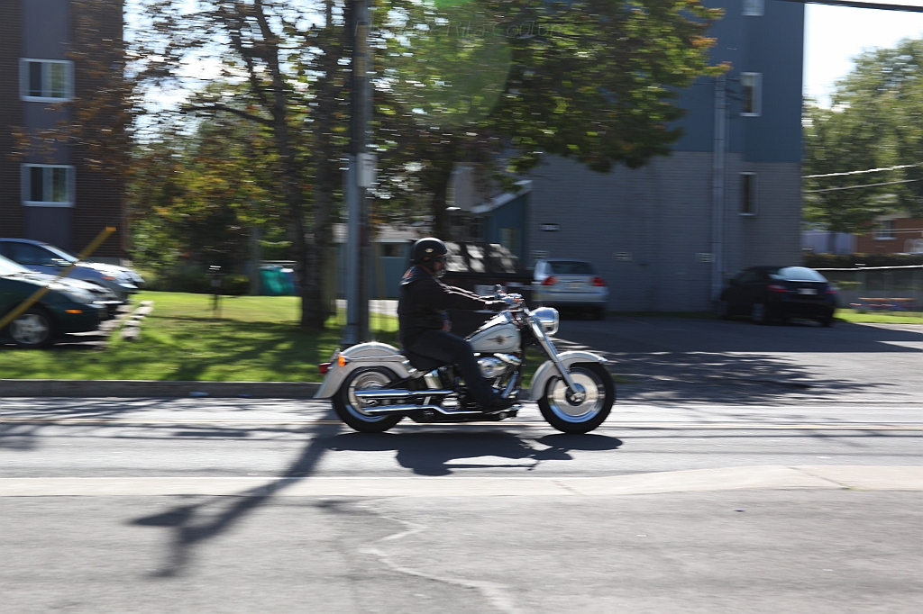 C5D_000631.JPG