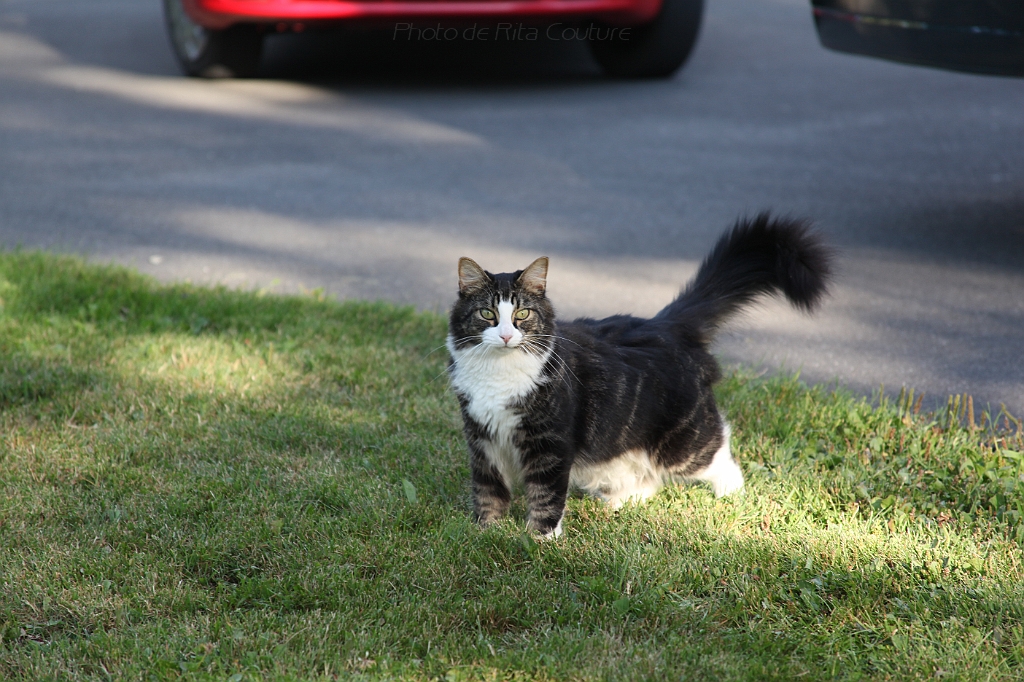C5D_000691.JPG