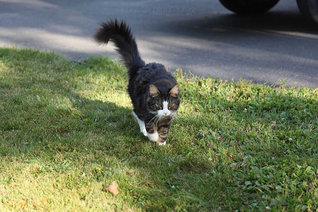 C5D_000694.JPG