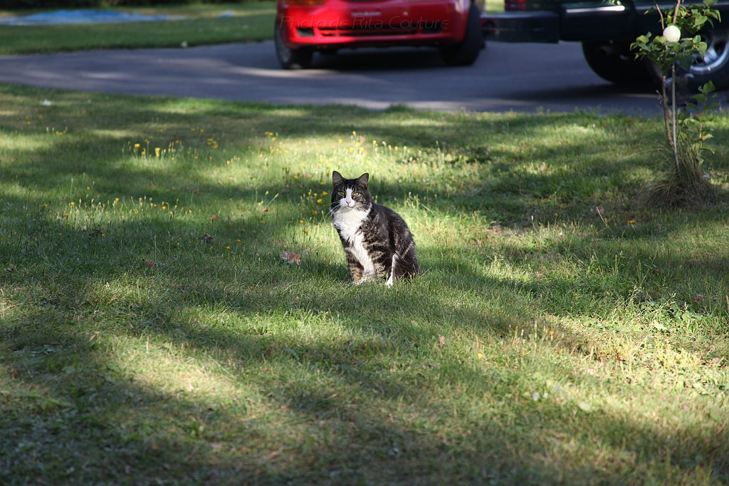 C5D_000695.JPG