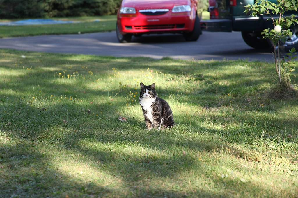 C5D_000696.JPG