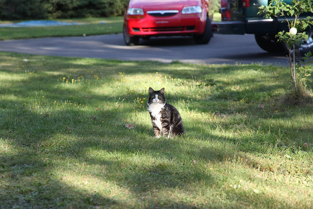 C5D_000697.JPG