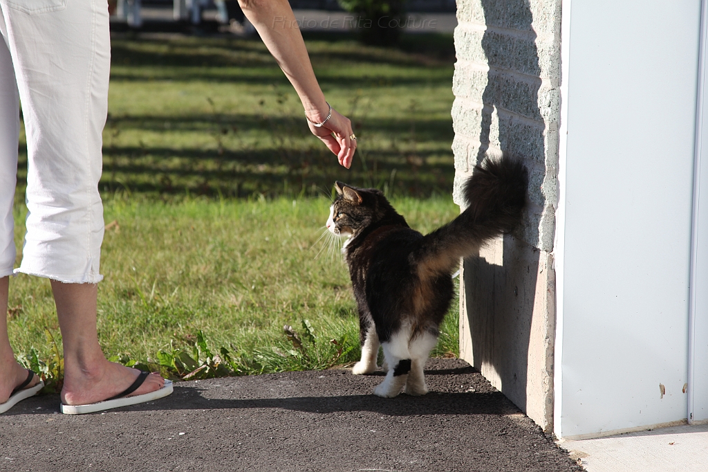 C5D_000698.JPG