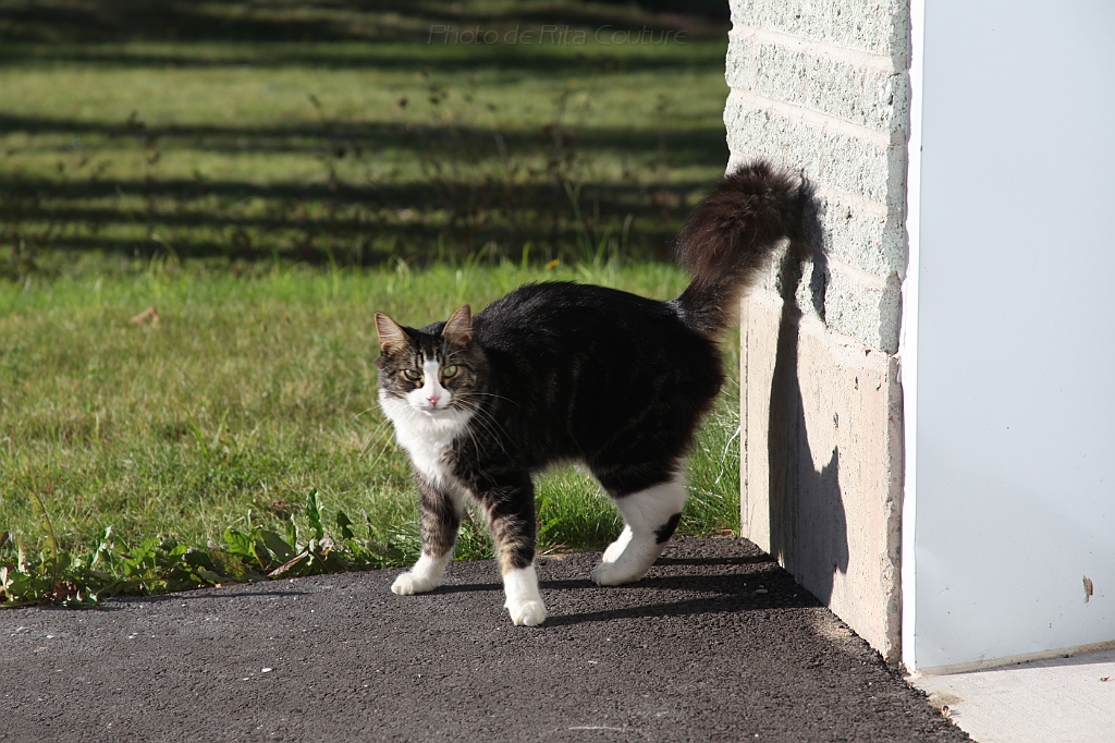 C5D_000699.JPG