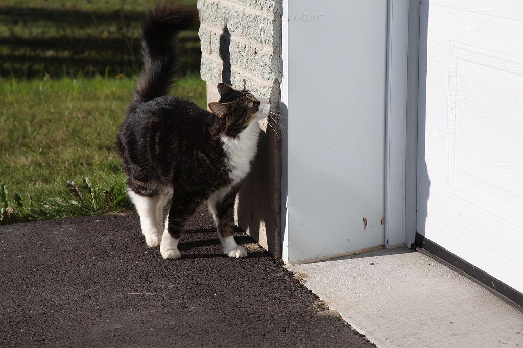 C5D_000700.JPG