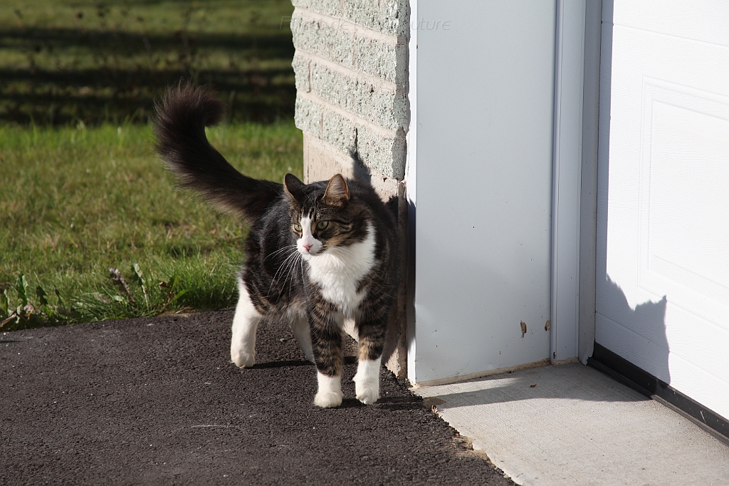C5D_000701.JPG