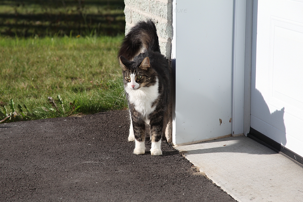 C5D_000702.JPG