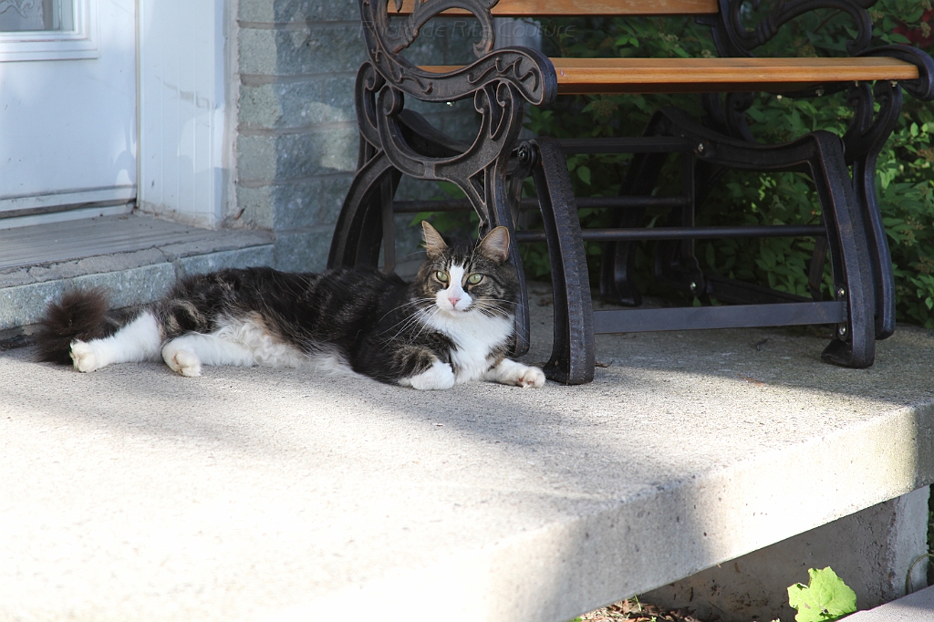 C5D_000704.JPG