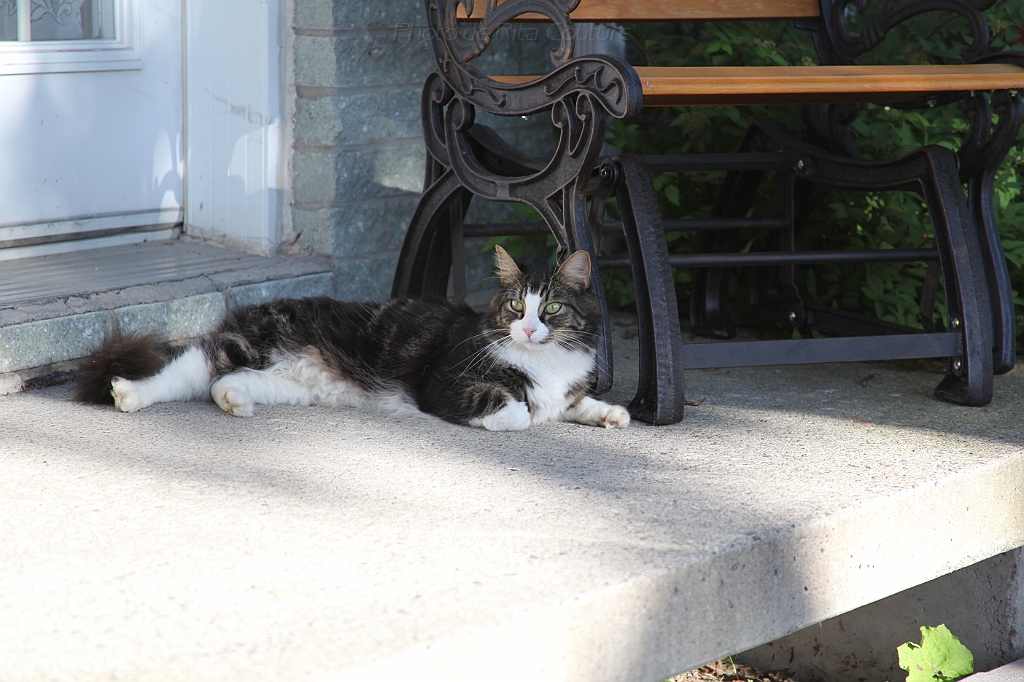 C5D_000705.JPG