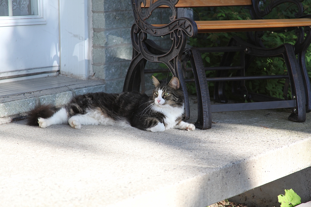 C5D_000706.JPG