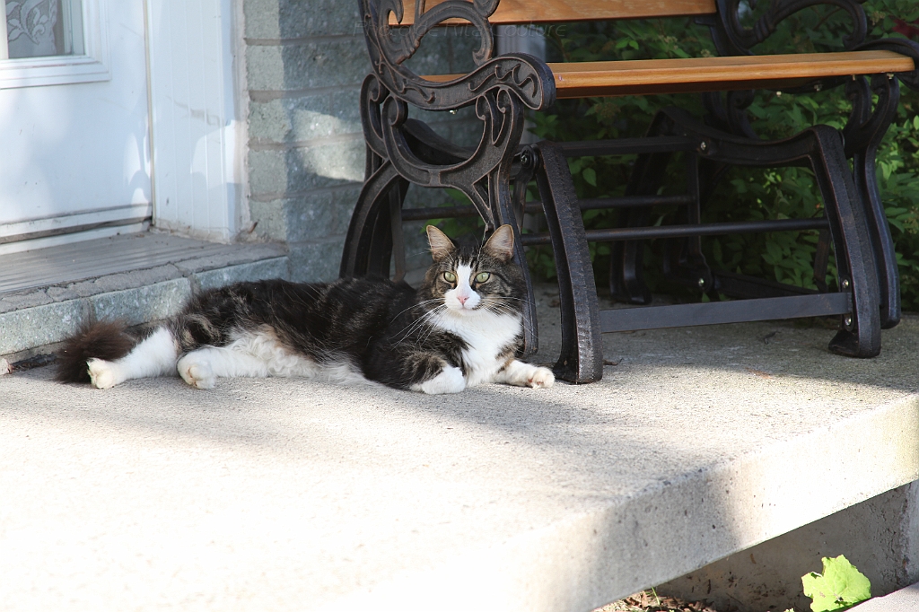 C5D_000707.JPG