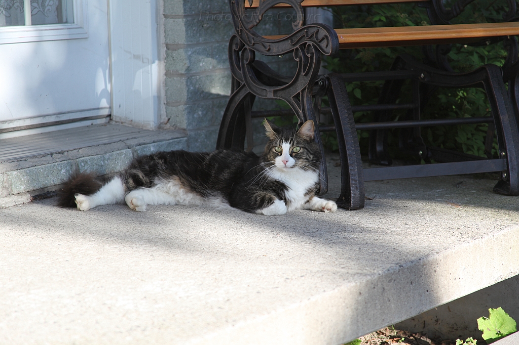 C5D_000708.JPG