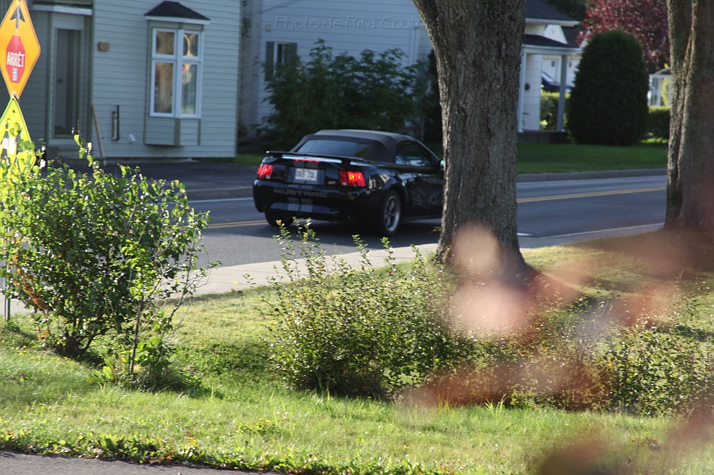 C5D_000733.JPG