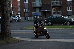 C5D_000361