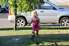 IMG_0525