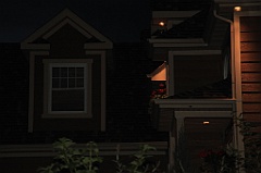 C5D_099636