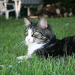IMG_000632
