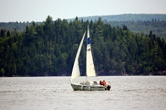 4L4C1650