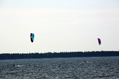 4L4C1654