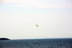 4L4C1655
