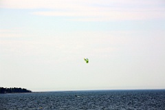 4L4C1656
