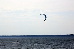 4L4C1665