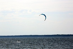 4L4C1666