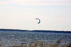 4L4C1668