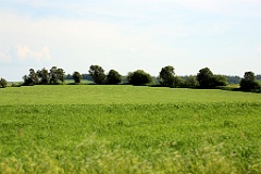 4L4C1719