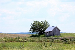 4L4C1730