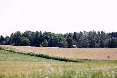 4L4C1731