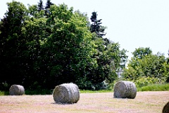 4L4C1733
